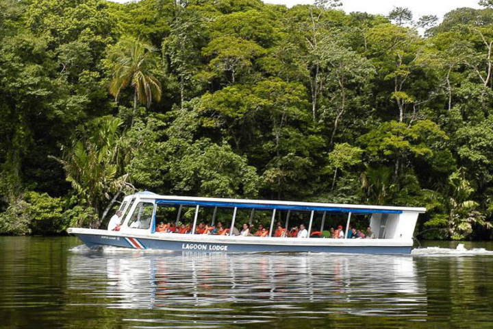 tour tortuguero 1 noche